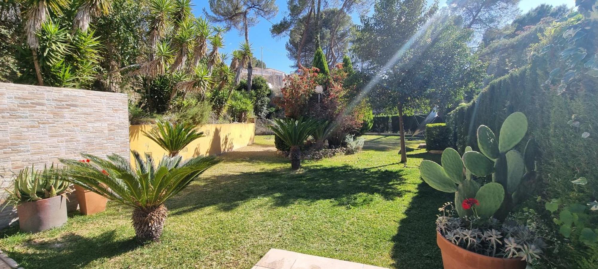 Wonderful Villa, Heated Pool, Near Beautiful Town Alboy Bagian luar foto