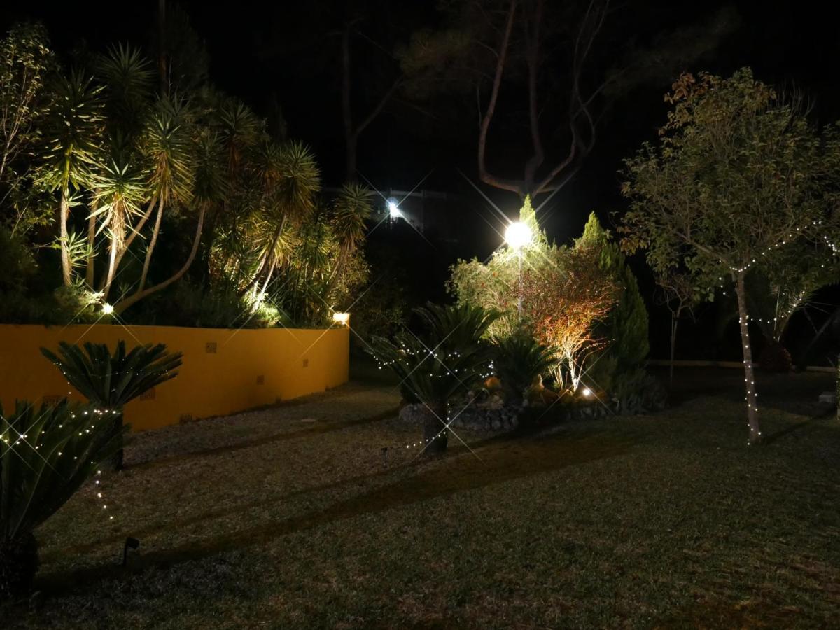 Wonderful Villa, Heated Pool, Near Beautiful Town Alboy Bagian luar foto